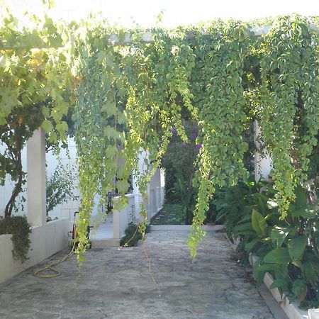 Apartment Aldica Supetar Exterior photo