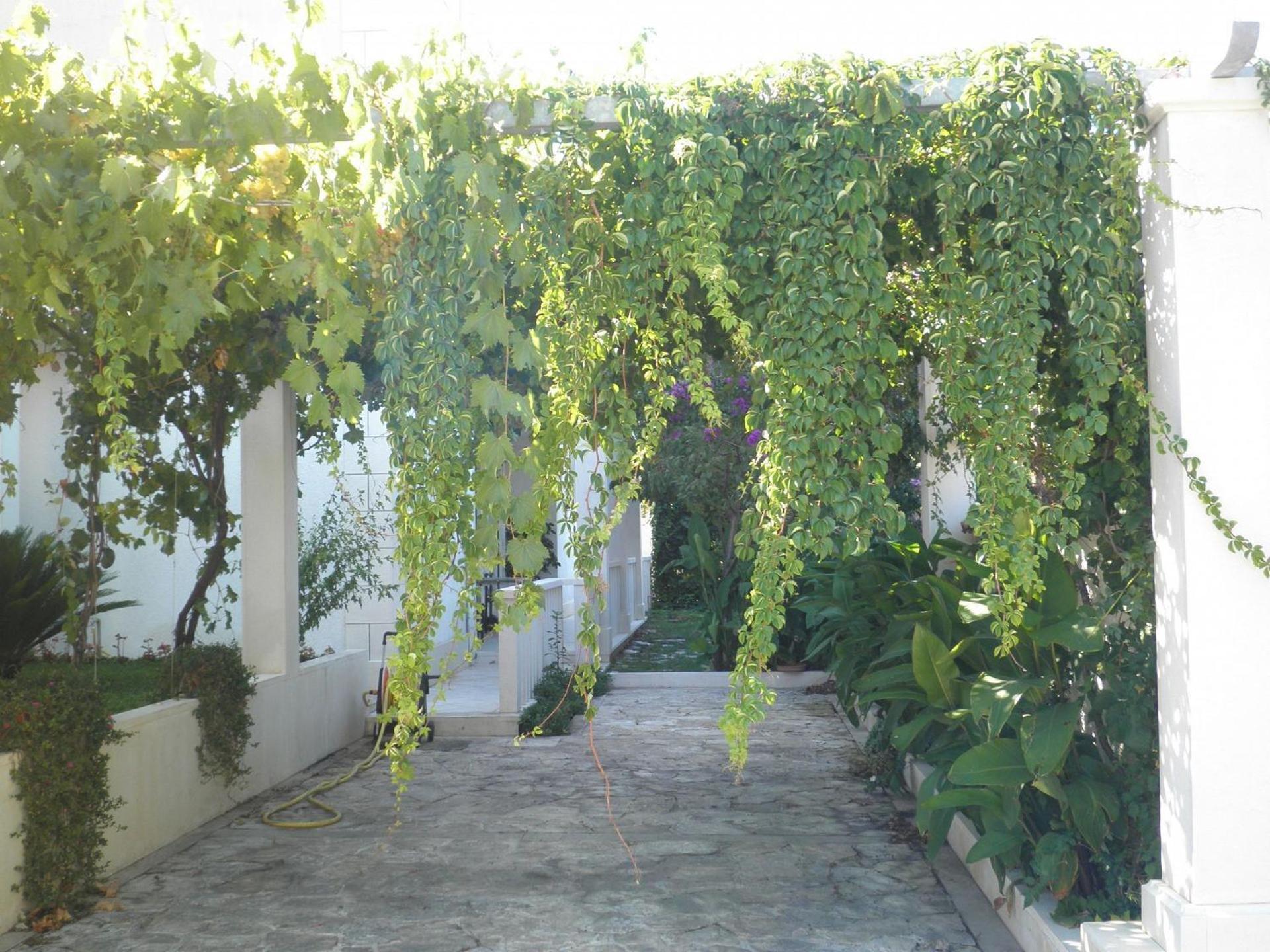 Apartment Aldica Supetar Exterior photo
